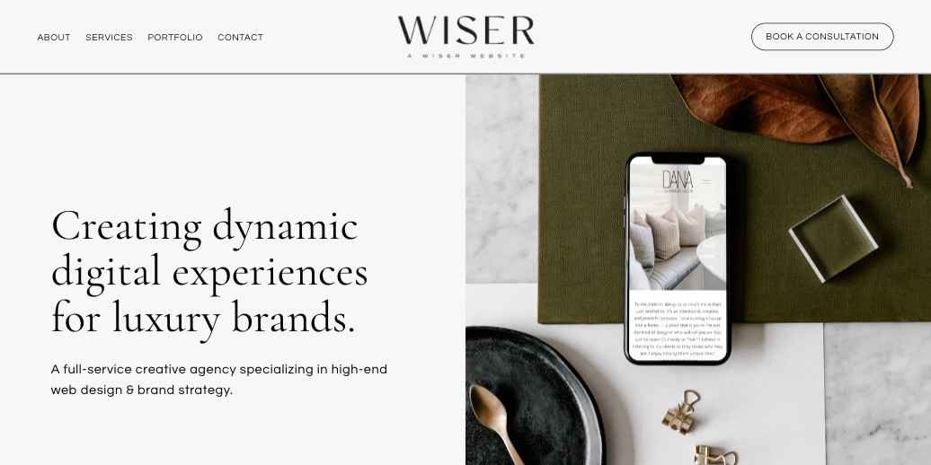 a wiser website baner