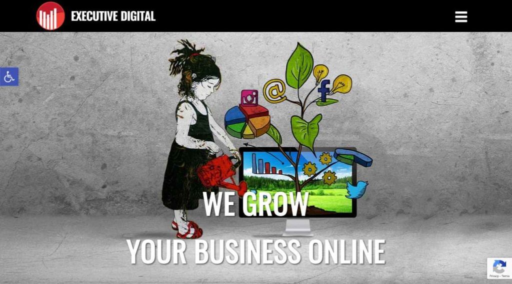 Digital-Marketing-Agency-Executive-Digital
