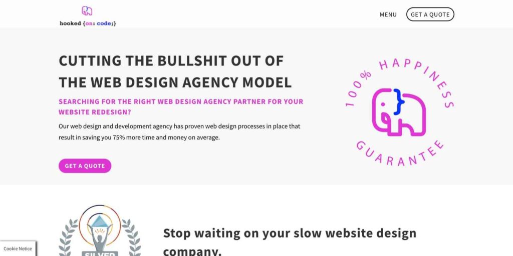 No-B.S.-Web-Design-Agency-Dallas-Top-WordPress-Designer-Near-You baner