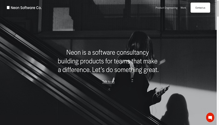 Neon Software Co.