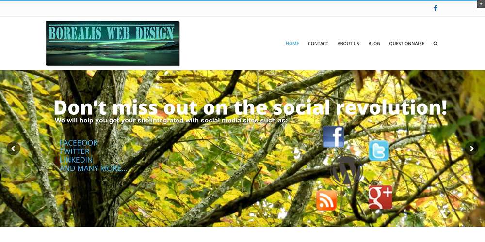 Borealis Web Design – Responsive WordPress Websites - Custom Designed Websites )