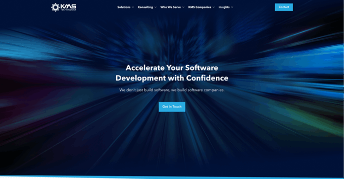 a global market leader in software development, testing services, and top-tier technology consulting